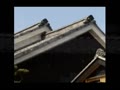 （たおやかインターネット放送）お出かけマイク 昔ながらの日本家屋が軒を連ねる岐阜市川原町